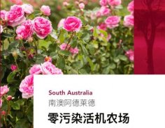 澳洲高端美妝品牌Jurlique茱莉蔻，成功入駐圣悅詩國際連鎖系統(tǒng)